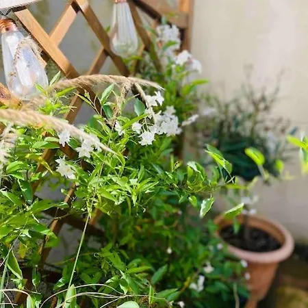 Lejlighed Joli Et Cosy *