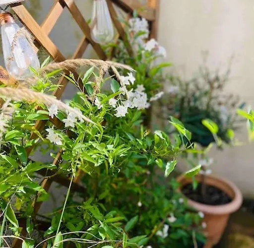 Daire Joli Et Cosy *